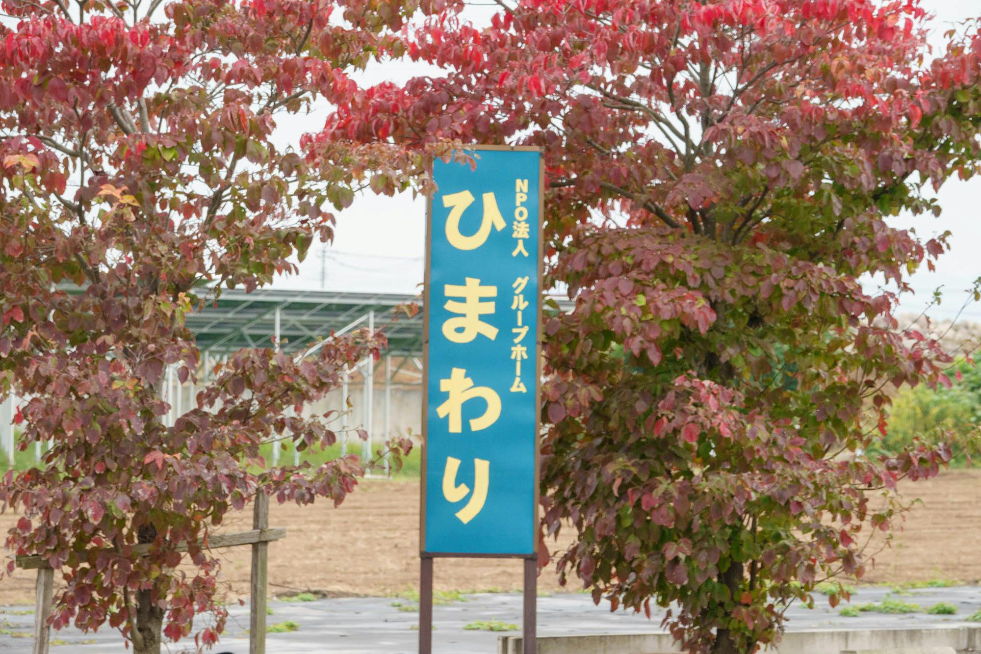 グループホームひまわりの家 看板