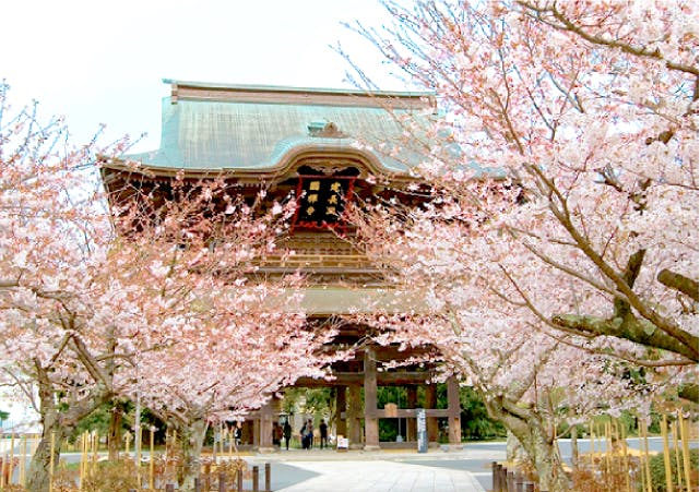 マストクレリアン鎌倉 建長寺