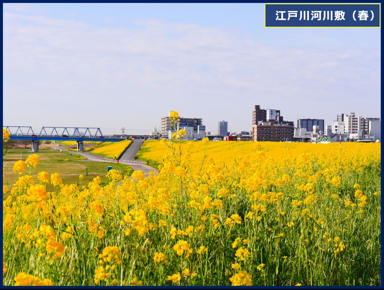 グループホームみんなの家・三郷 江戸川河川敷