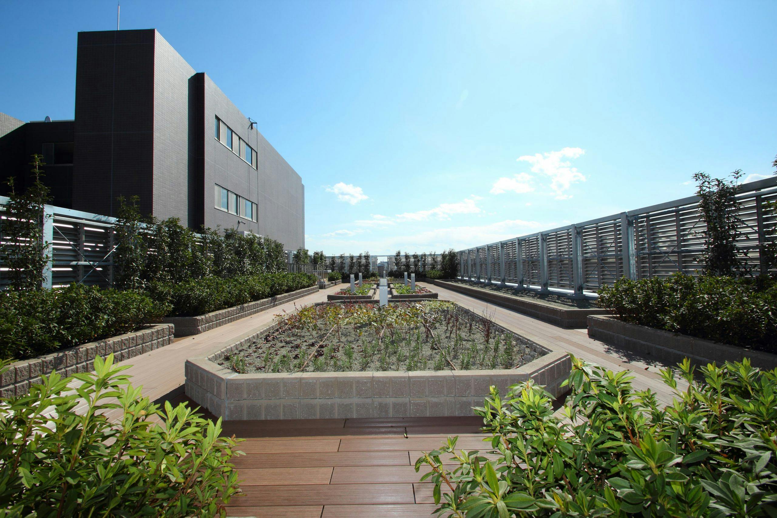 マストライフ古河庭園 屋上庭園