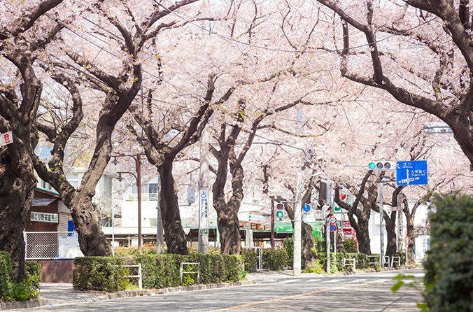 ＳＯＭＰＯケア ラヴィーレ国立矢川 周辺