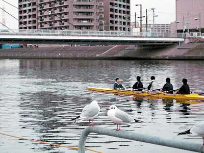 ウェルネスシップ三世 鶴見川