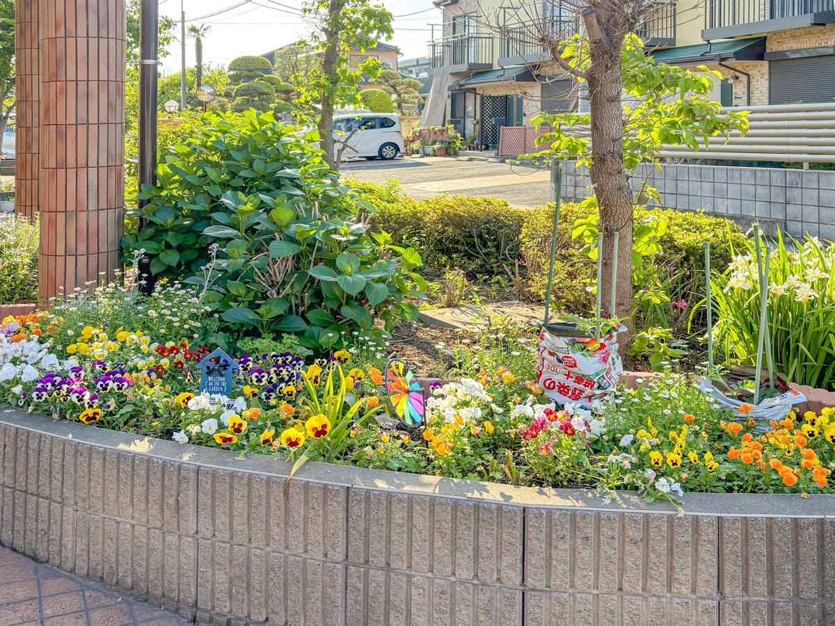 愛の家グループホーム大宮指扇 花壇