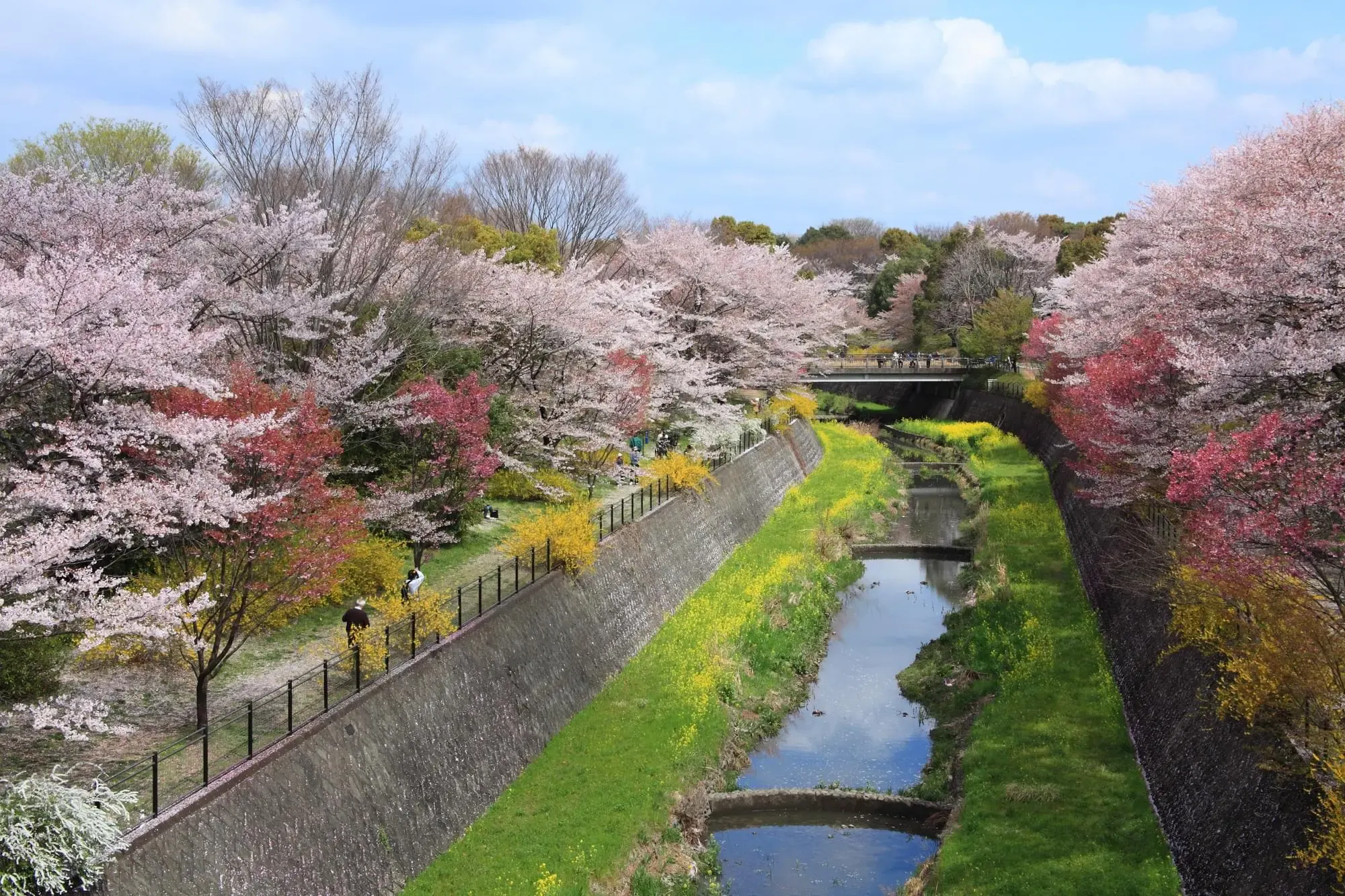 ヘーベルVillage立川昭和記念公園 立川昭和記念公園