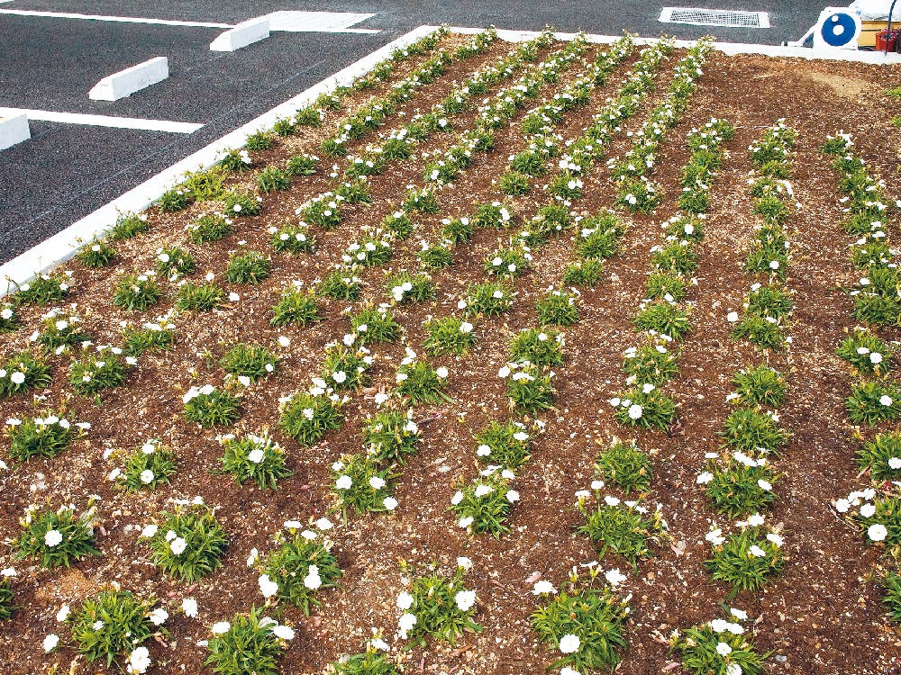 ふるーら静岡石田 菜園と庭園