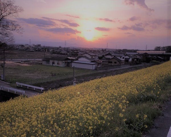 介護付有料老人ホームみんなの家・熊谷銀座 荒川河川敷