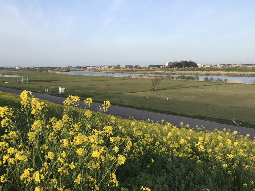 グループホームみんなの家・松伏 江戸川運動公園