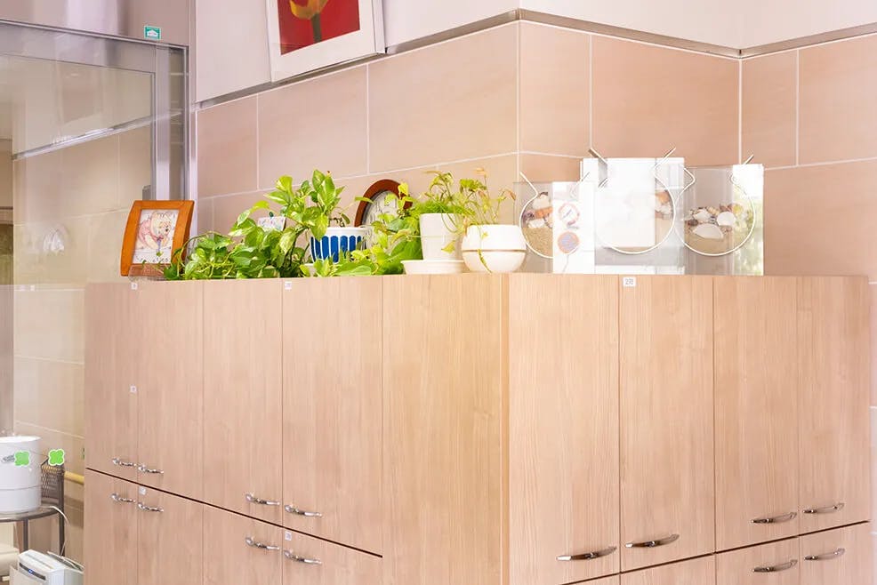 やさしえ東辻井 下駄箱