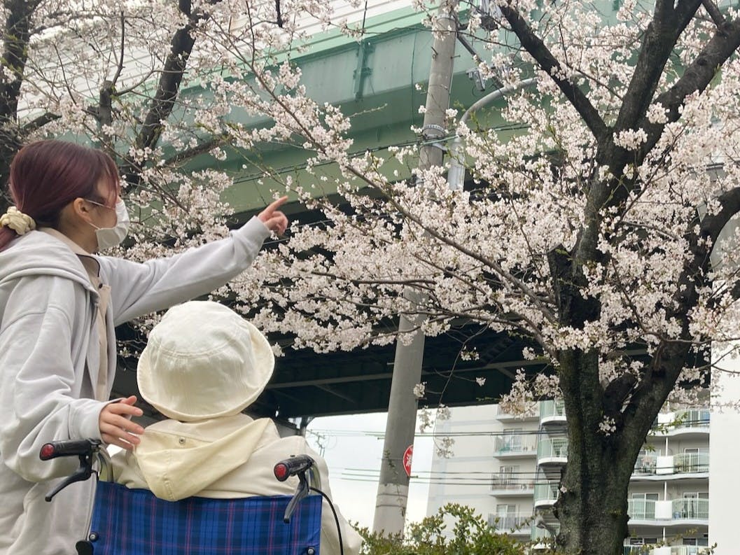 ソレイユ もりぐち お花見