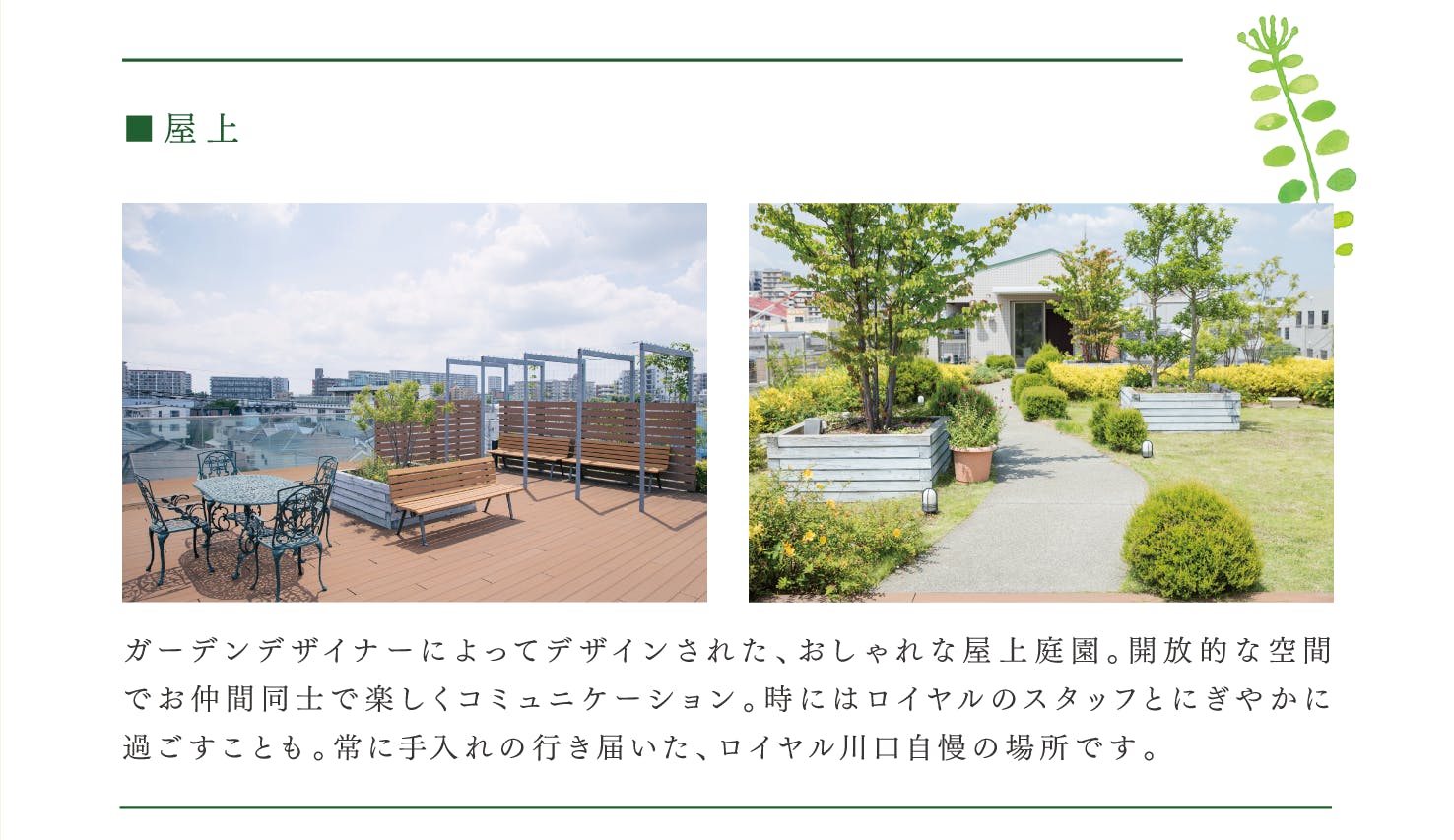 ロイヤル川口 屋上