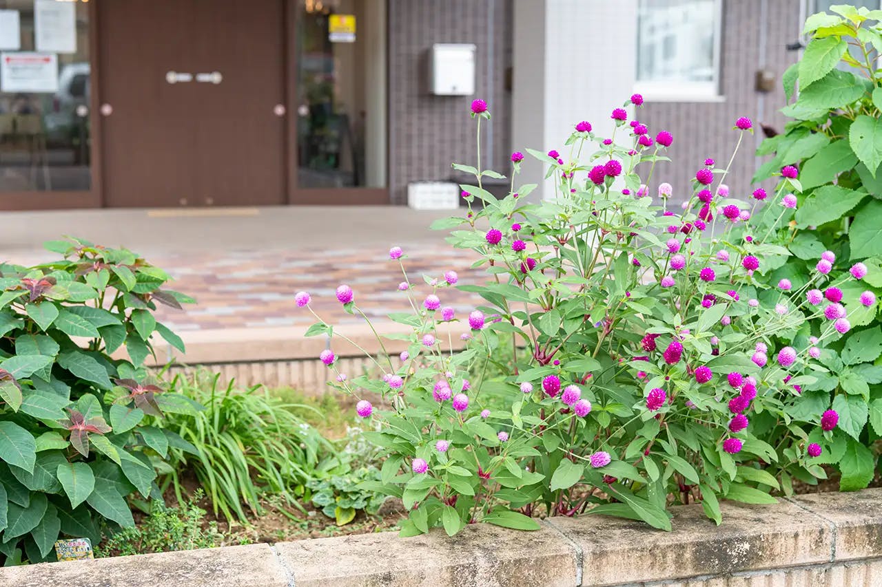 イリーゼ狭山・富士見 花