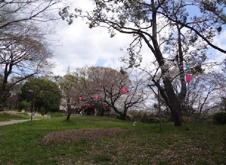 グループホームたのしい家園田 お花見