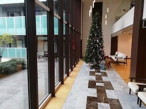 ツクイ・サンシャイン杉並 中庭に面しているロビー