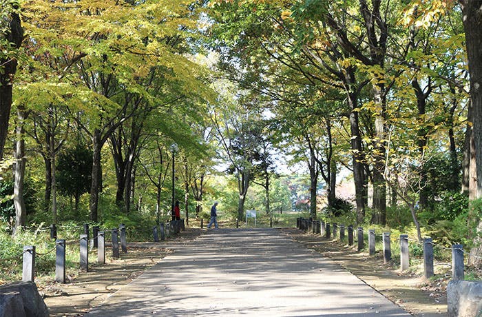 チャームプレミア浜田山 柏の宮公園