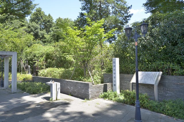 グランドマスト八幡山 松沢けやき公園