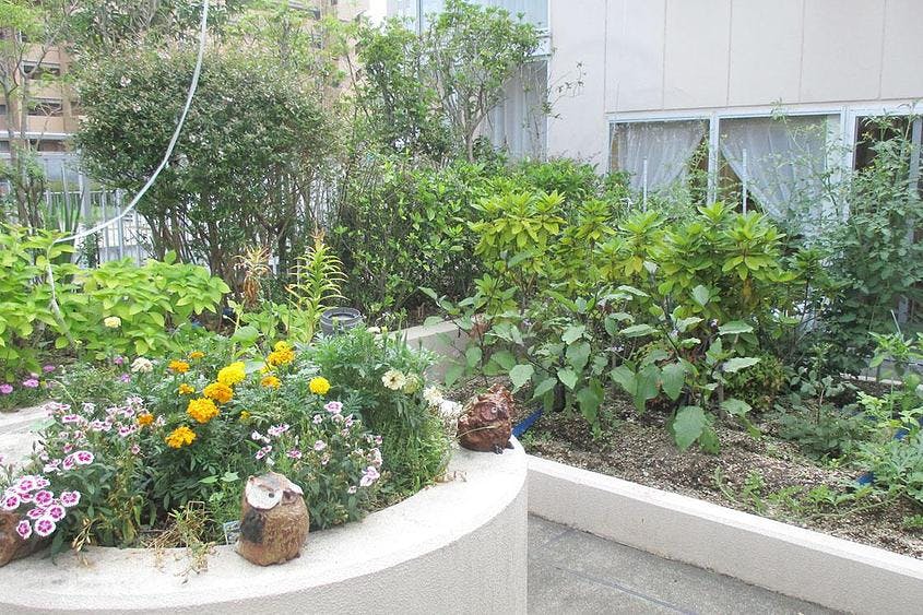 まどか西川緑道公園 4F 屋上庭園