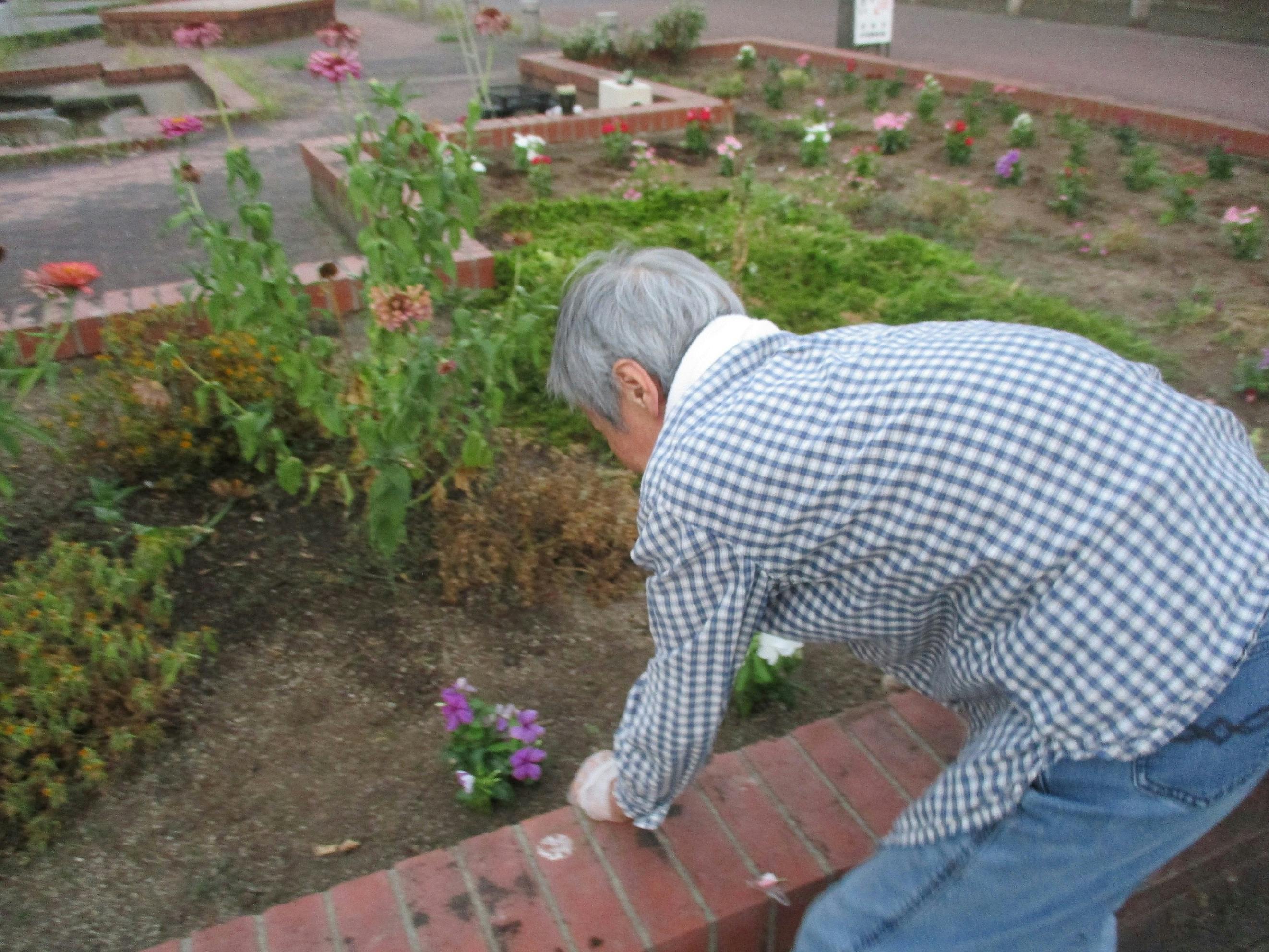ニチイケアセンター三河安城 花壇整備