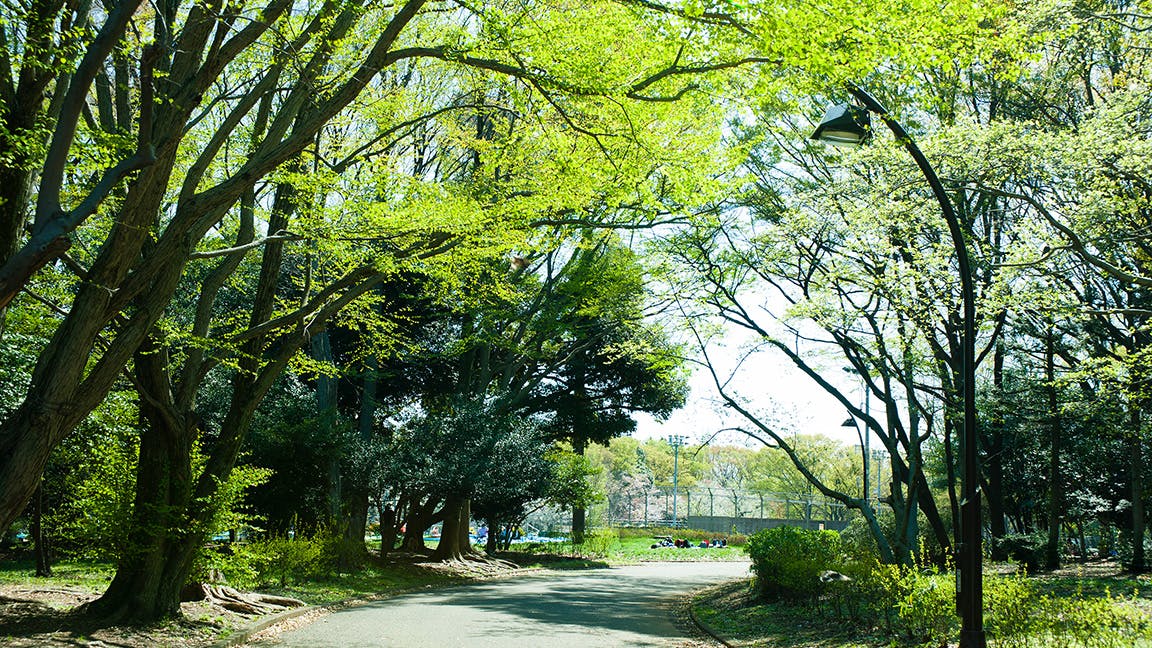 トラストガーデン桜新町 駒沢緑公園