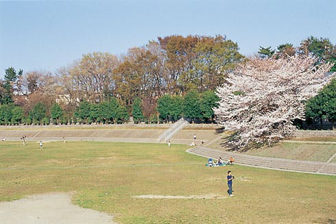 アズハイム大泉学園 びくに公園