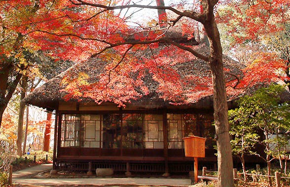 ゆうらいふ世田谷 蘆花恒春園