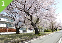 グッドタイムホーム・新検見川 花園グリーンベルト