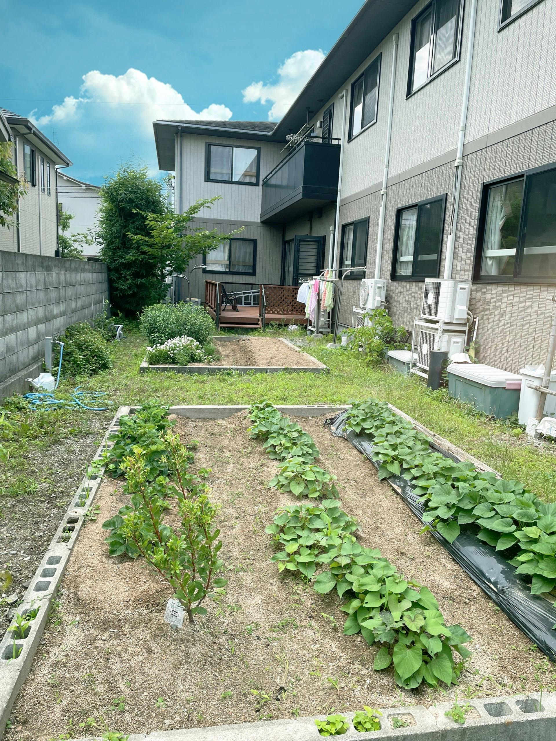 ニチイケアセンター山ノ上 菜園