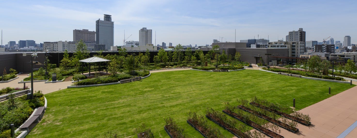 ブランシエール蔵前 屋上庭園