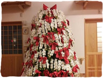 実の和 クリスマスツリー