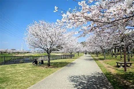 ココファンメディカル藤沢 引地川親水公園