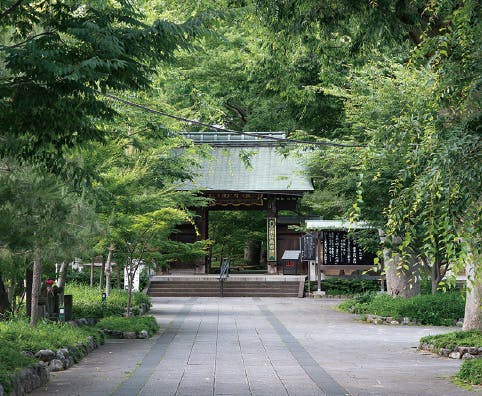 東急ウェリナ大岡山 九品仏浄真寺