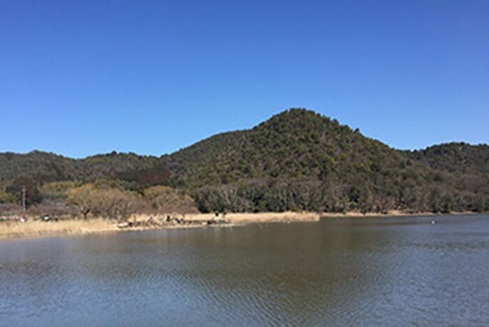 グッドタイム リビング 嵯峨広沢 広沢池