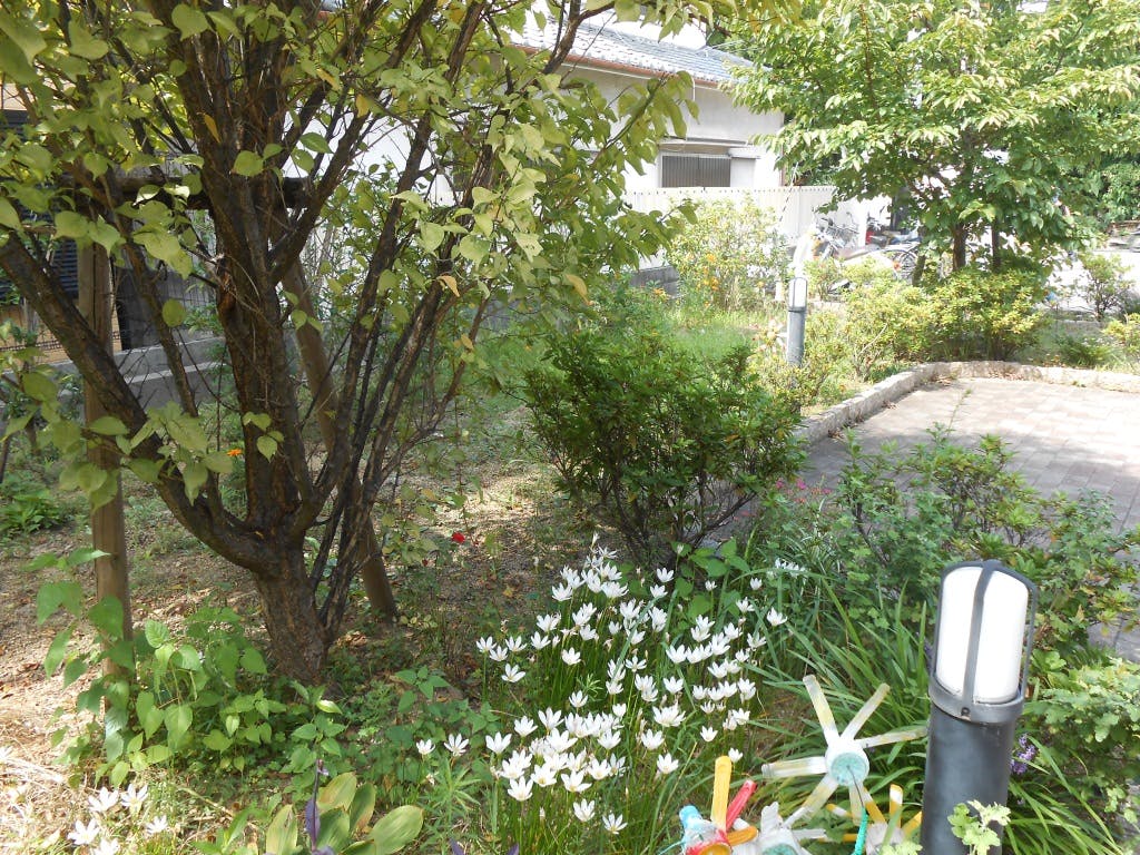 ニチイケアセンター堺八田荘 庭
