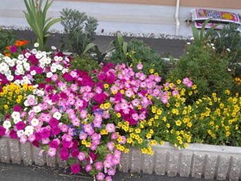 ベストライフ松江 花壇