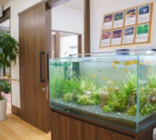 はいらいふ羽曳野 廊下