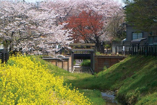 アズハイム東浦和 見沼通船堀公園