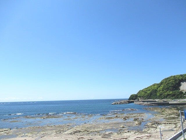 ジョイライフ鯛の浦 施設からの眺望