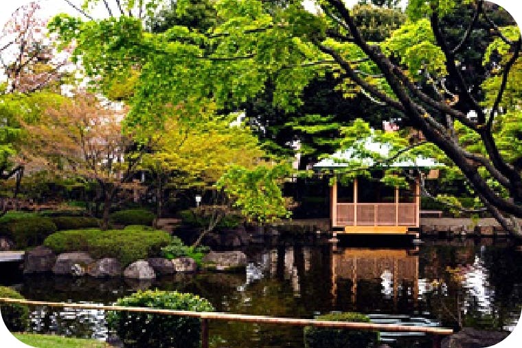 アライブ荻窪 大田黒公園
