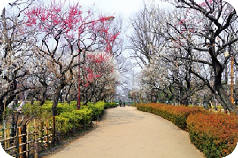 アライブ世田谷代田 羽根木公園