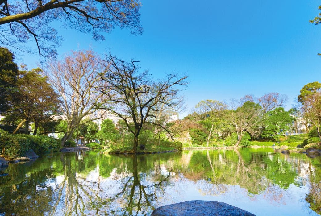 プレザンリュクス南青山 有栖川宮記念公園