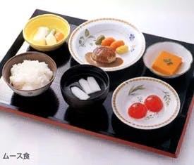 有料老人ホームいこい ムース食