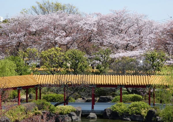 フローレンスケアホーム川崎大師 大師公園