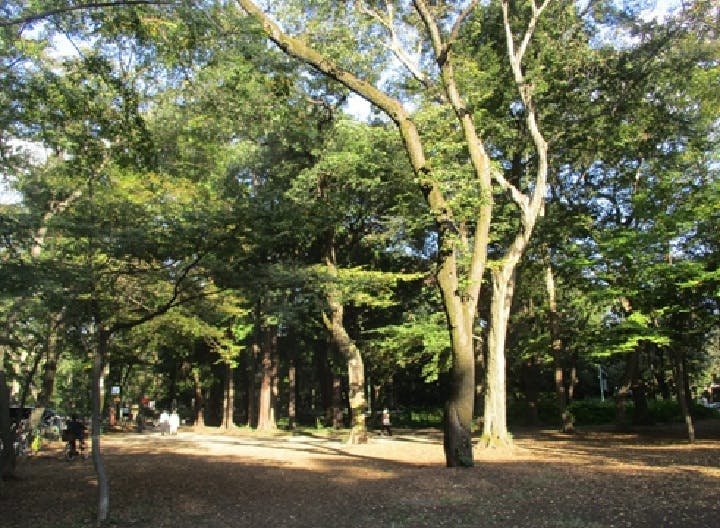 たのしい家三鷹牟礼 散策