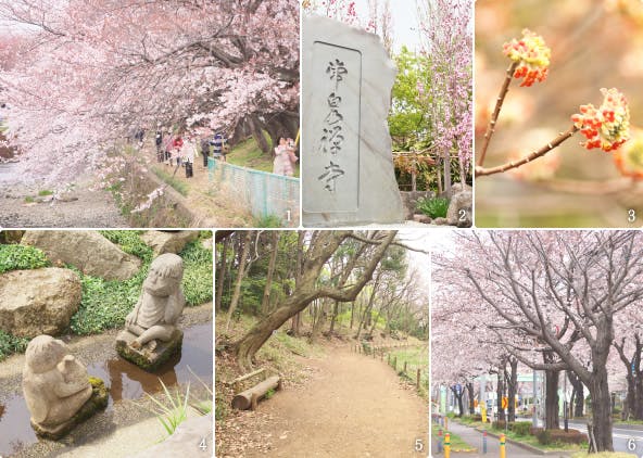 カーサプラチナ大和 常泉寺