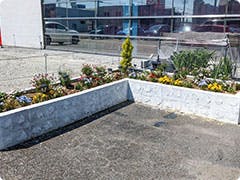 ロイヤルホーム春日井 花壇水槽