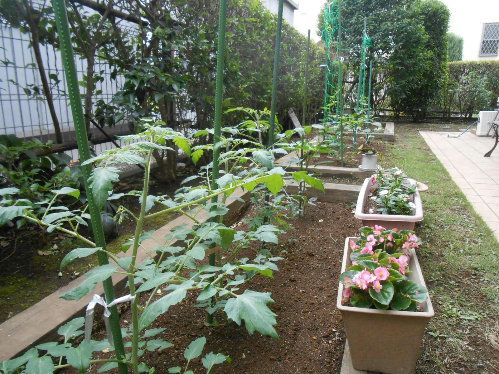 ニチイケアセンター和光みなみ 菜園