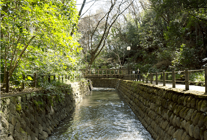 ガーデンテラス尾山台 丸子川