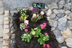 そんぽの家Ｓ修学院 花壇