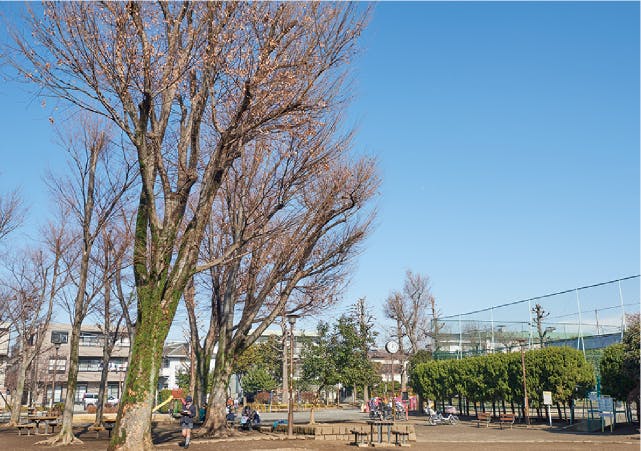 グランドマスト赤堤 赤堤けやき公園