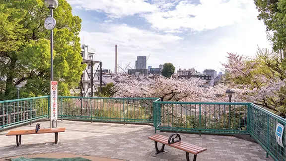 アルファリビング目黒 大塚山公園