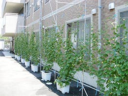 なかこの家 敷地内